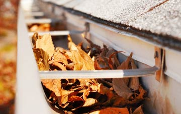 Burnside gutter cleaning companies