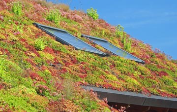 Burnside living roof systems