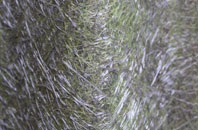 Burnside fibreglass roof work